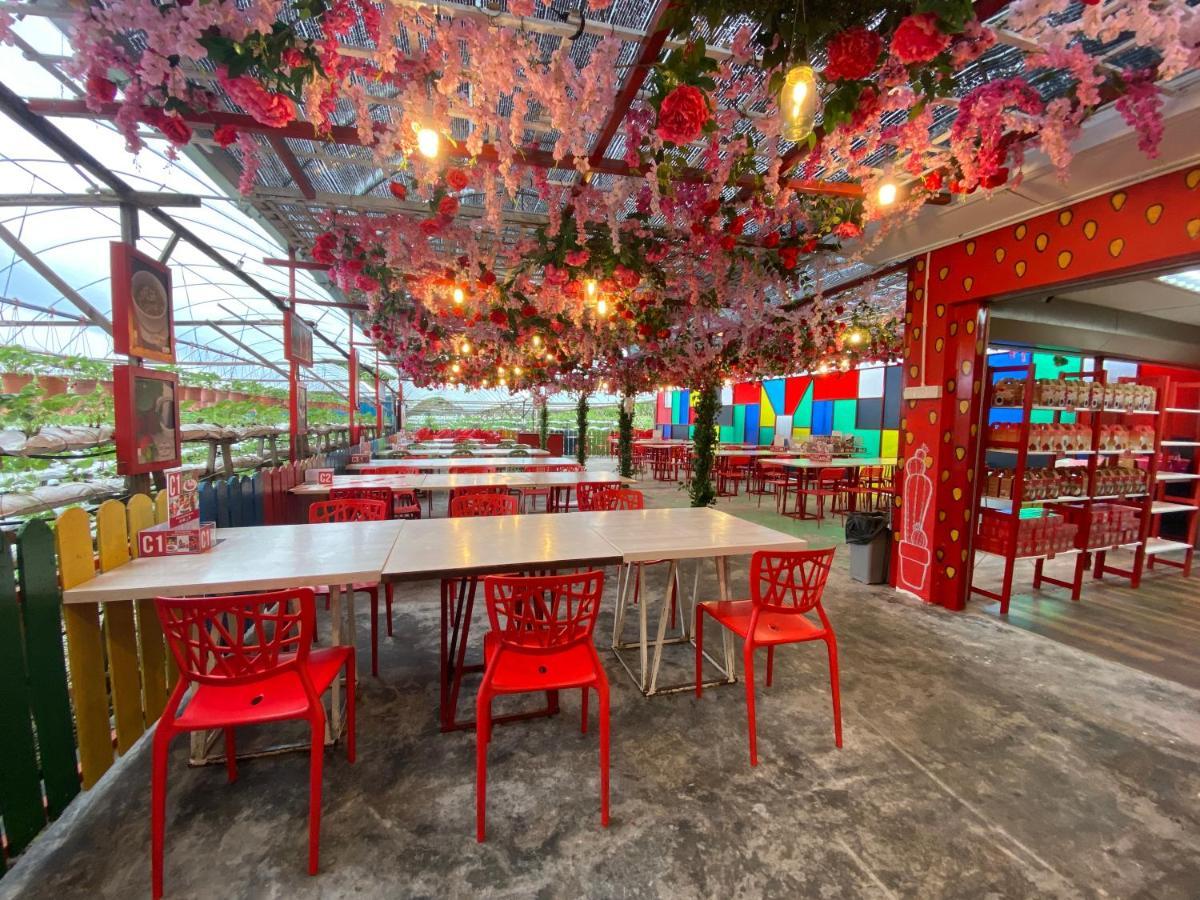 Aiza Homestay Opposite Abang Strawberry Taman Sedia Tanah Rata Exteriör bild