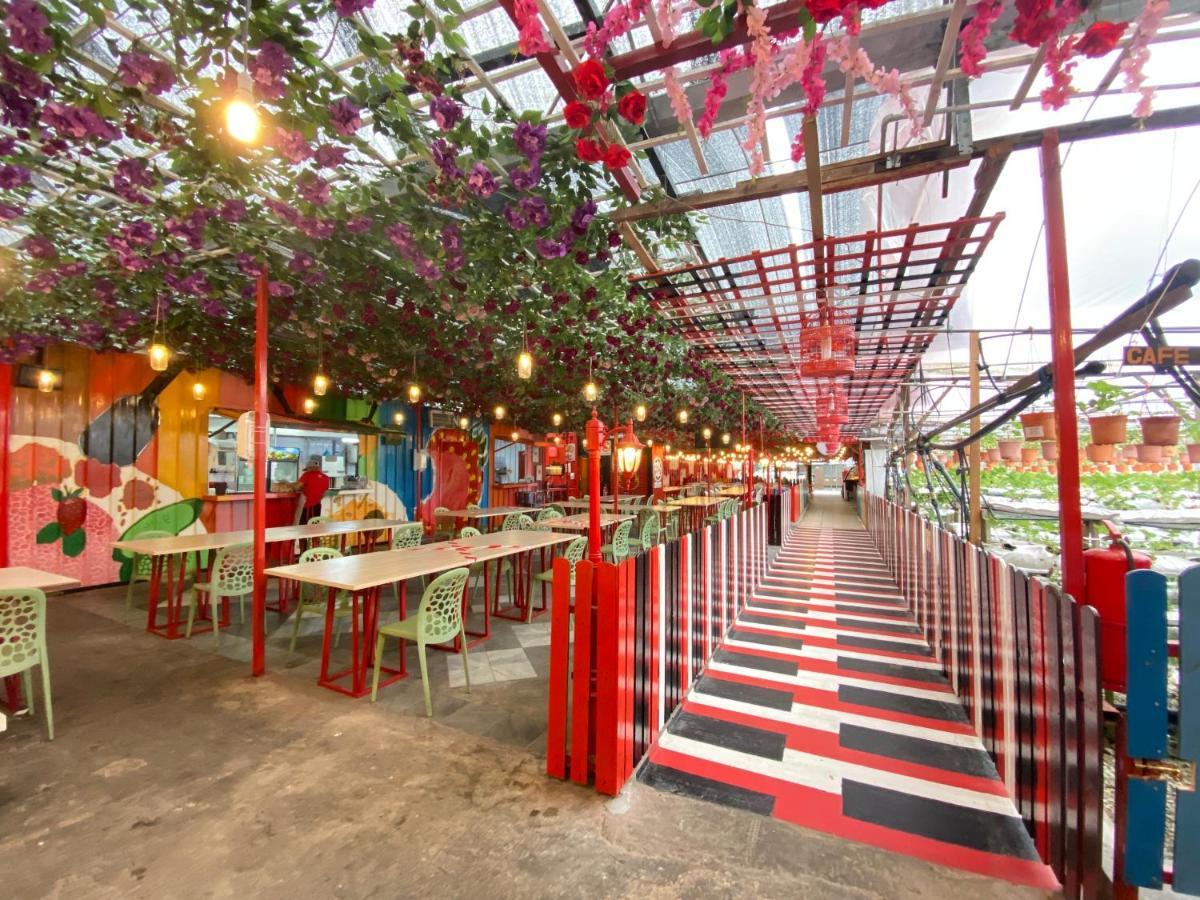 Aiza Homestay Opposite Abang Strawberry Taman Sedia Tanah Rata Exteriör bild