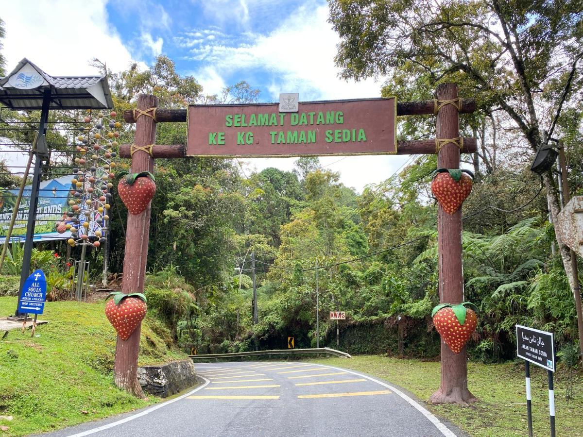 Aiza Homestay Opposite Abang Strawberry Taman Sedia Tanah Rata Exteriör bild